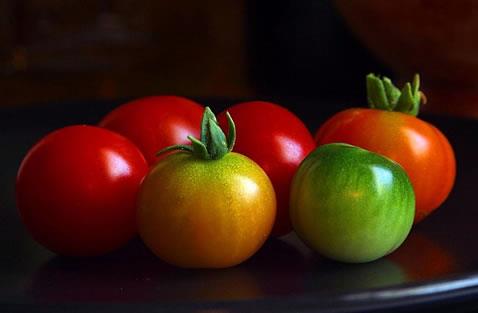 Zucchini And Chilli Tomato Casserole