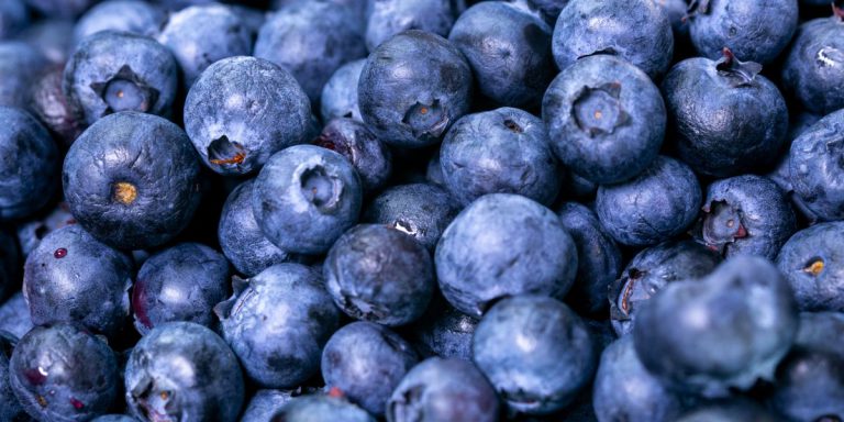 Blueberry Smoothie for Diabetics