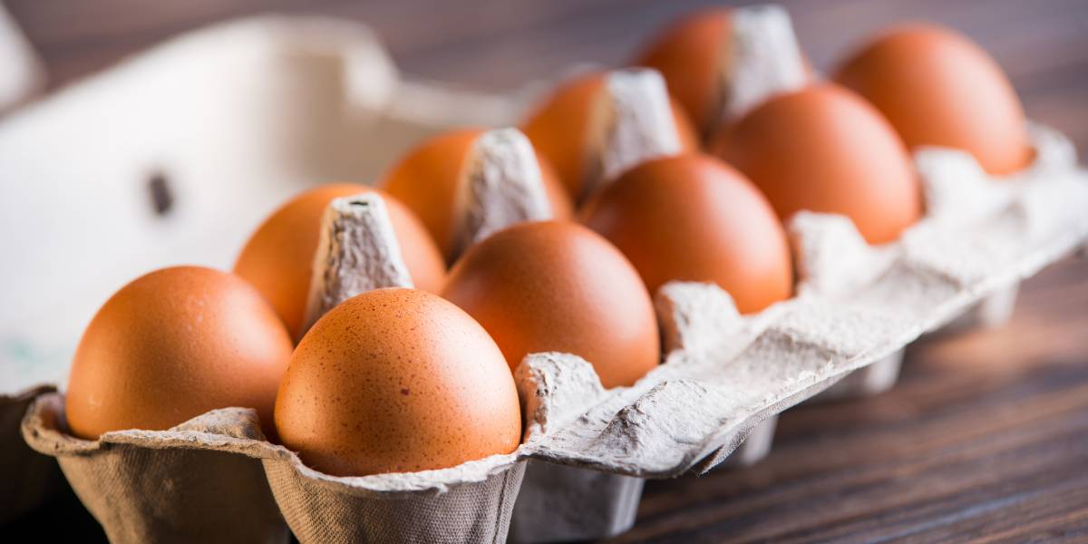 The 3 Day Egg Diet: How To + Potential Weight Loss Benefits
